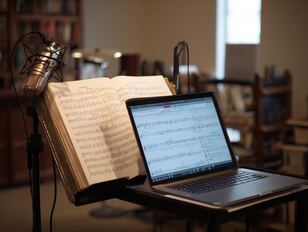 operalingual-mj-landscape-03