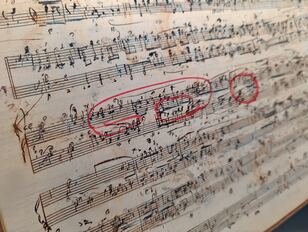 operalingual-mj-landscape-04