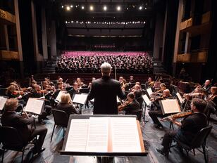 operalingual-mj-landscape-296