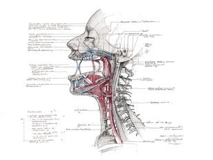 operalingual-mj-landscape-330